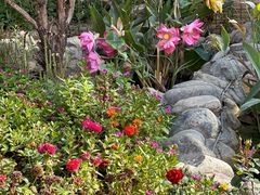 -水上乐园·欢乐世界