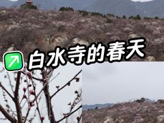 -白水寺森林公园
