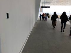 -吴淞口国际邮轮码头-停车场