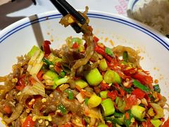 鸭掌筋-壹盏灯(惠农店)