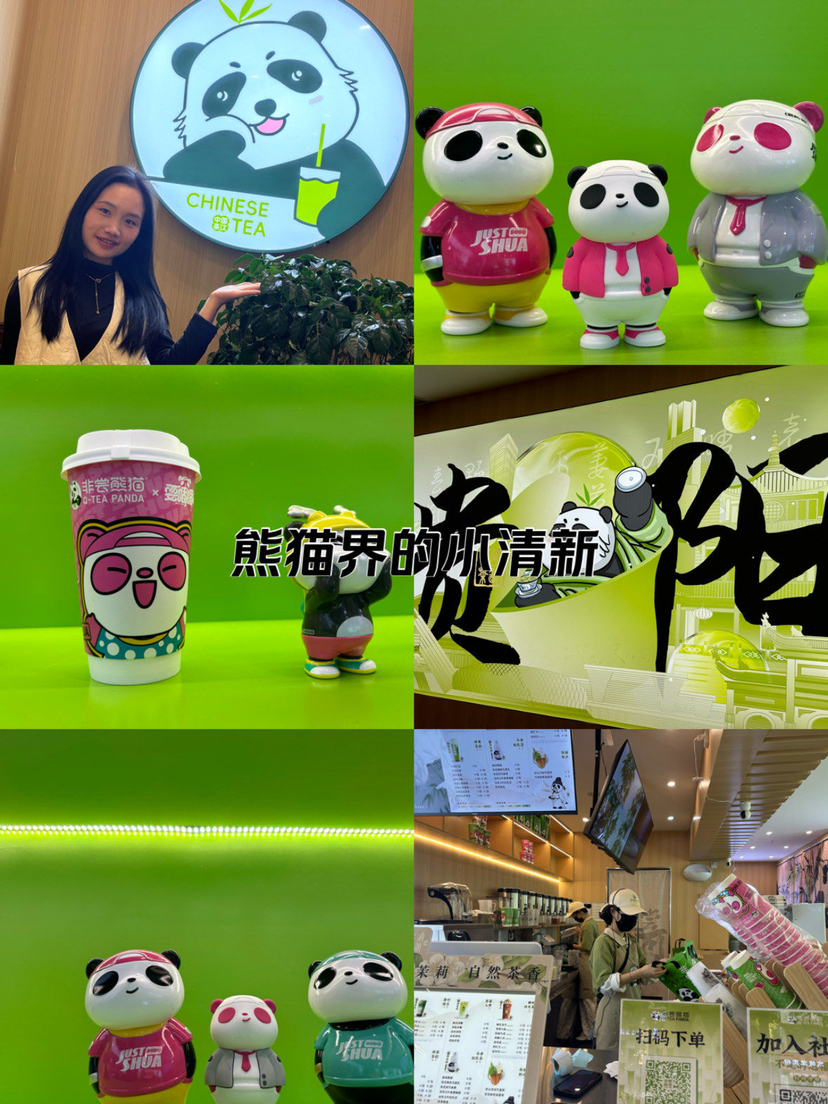 熊猫奶茶,超级萌又好喝
