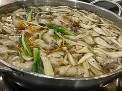 -丁月玉兔王(大渡口店)