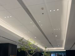 -金春禧(世茂国际广场店)