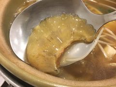 -大中鱼翅 Taitong Shark Fin