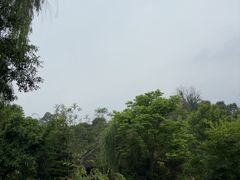 -张坝桂圆林公园