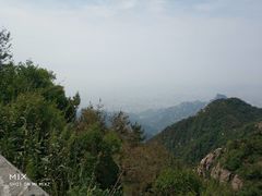 -老二烧烤砂锅(向东南路店)