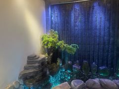 -沣峪鱼庄