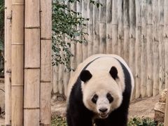 -南昌动物园