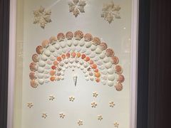 -青岛贝壳博物馆