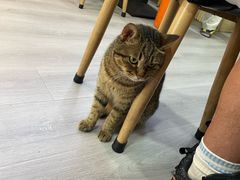 -驴公驴婆(曹杨店)