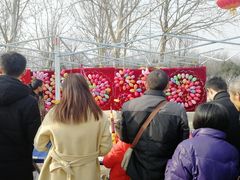 -济南国际园博园