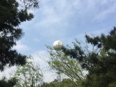 -金鸡湖桃花岛