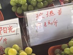 -马陆小张葡萄园农家乐