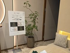 -OMSPA(盛景尚峰店)