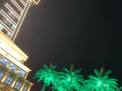 -郑州西亚斯学院-体育学院