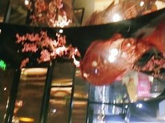 -老板恋上鱼(高新万达店)
