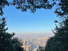 -惠山国家森林公园