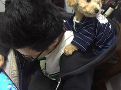 -龙脊堂龙氏推拿 整脊(陆家浜店)