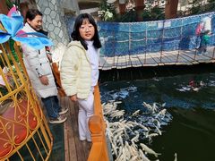 -南宫五洲植物乐园