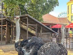 -南京银杏湖乐园