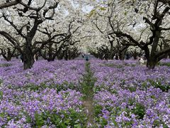 -江苏三台山国家森林公园
