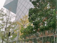 -中央广播电视总台(光华路办公区)