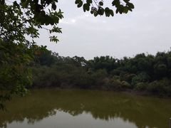 -罗三妹山