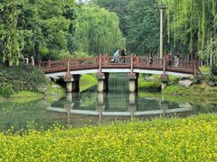 -北坞公园