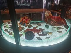 -领仕扒房(长春店)