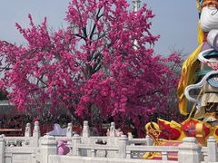 -祥源·阜阳生态乐园