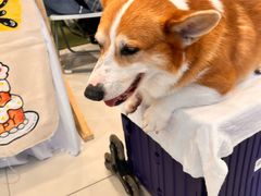 -凯德广场(武胜路店)