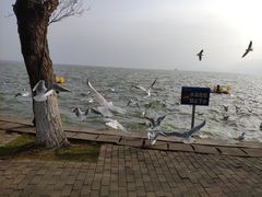 -滇池海埂公园