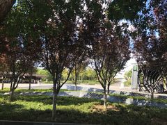 -永定河休闲森林公园