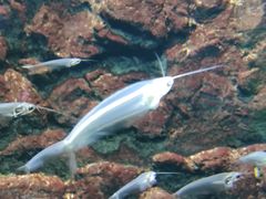 -石林冰雪海洋世界