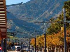 -国家植物园(地铁站)