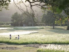 -福建鲤鱼洲酒店