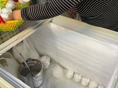 -洪馨椰子
