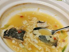 -沪碟·精菜坊(闵行店)