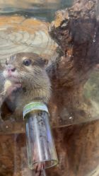 -Zoolung Zoolung动物主题公园(海信广场店)