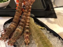 -鲜入围煮花胶鸡海鲜火锅