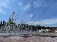 -黄海国家森林公园