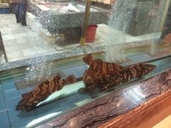 iphone_upload_pic-海逸海鲜酒家(古北店)