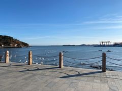 -烟墩角天鹅湖