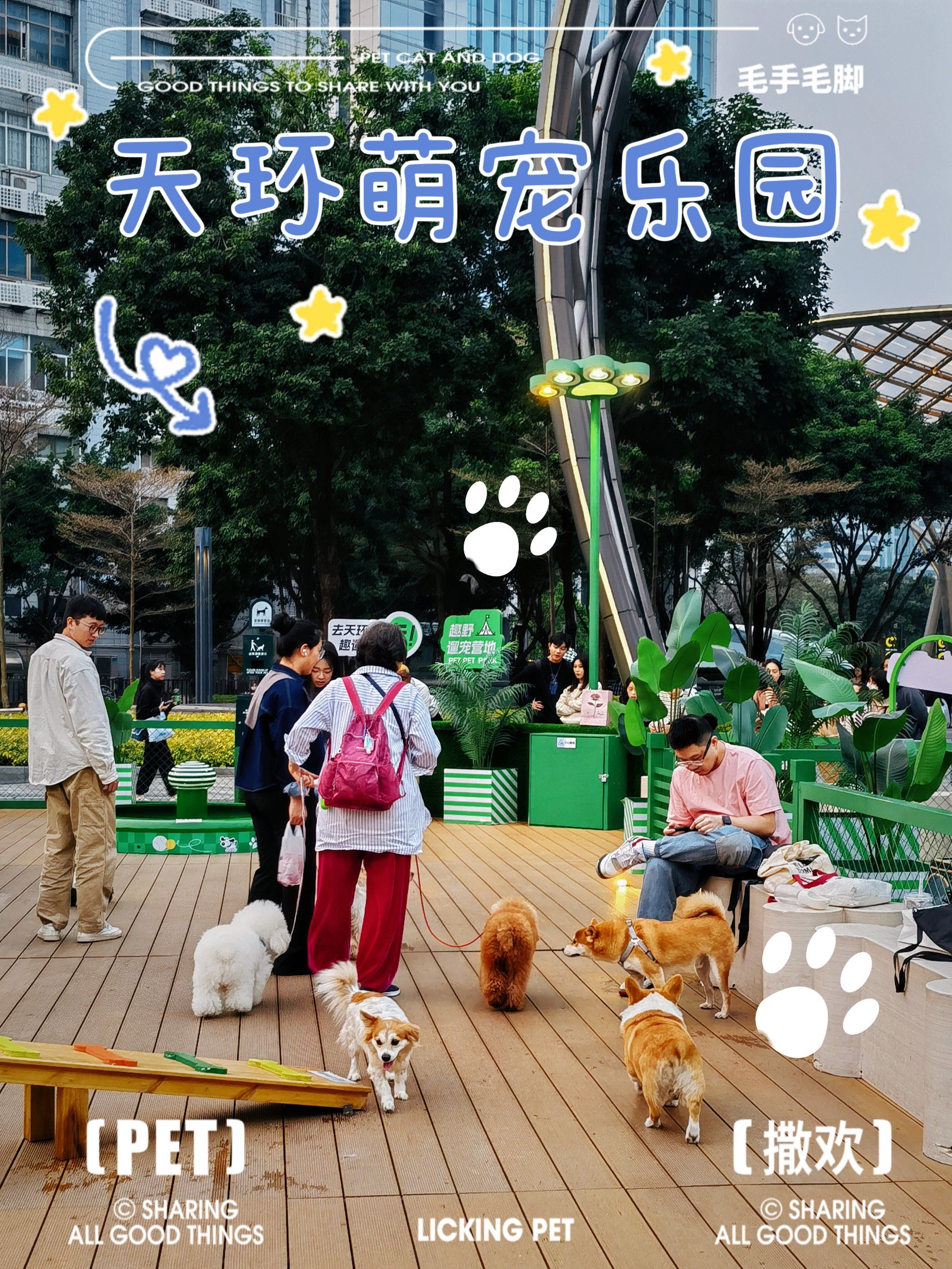 溜宠新营地 | 天环萌宠乐园