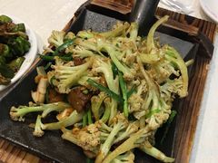 -邵年鸽(杨庄店)