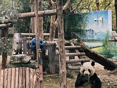-上海野生动物园