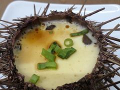 海胆蒸蛋-海胆小馆(东北水饺·春柳店)