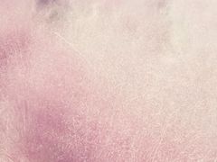 -羊亭河湿地公园