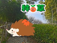 -日出青木