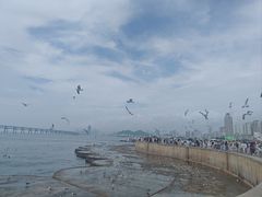 -星海广场